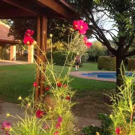 Las Lavandas - Hermoso Chalet en Villa de Merlo con vista a las sierras-3